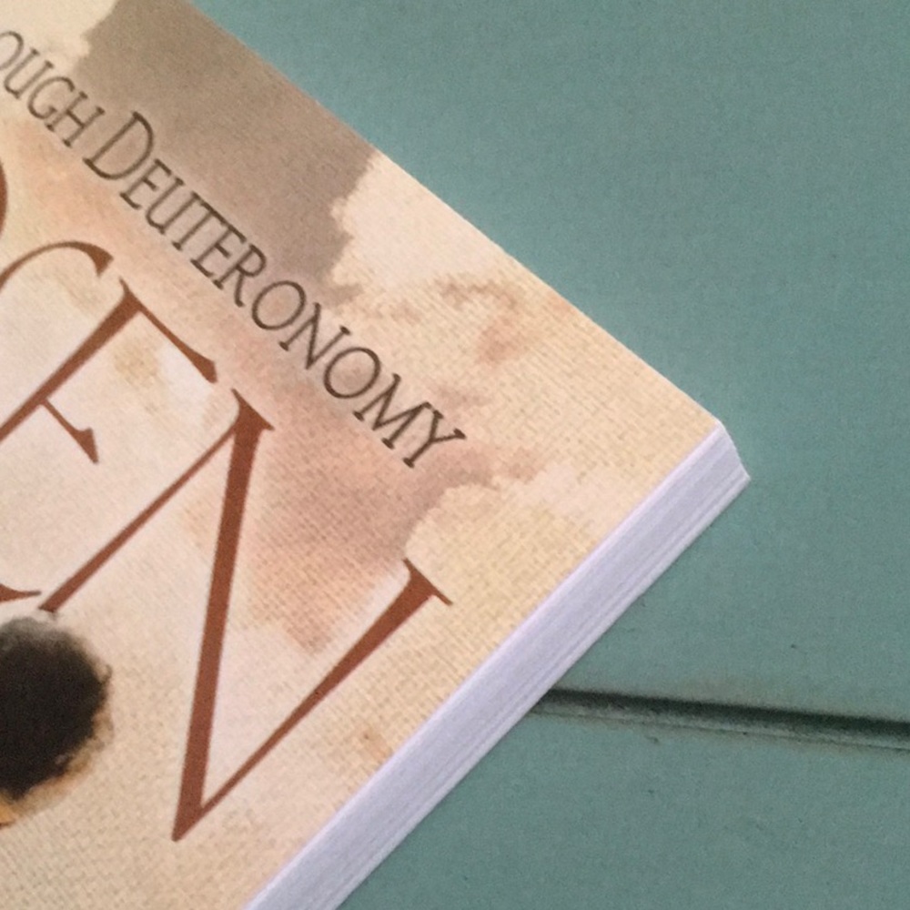 β Chosen: Genesis Through Deuteronomy β Jack J. Blanco | Like New! - Picture 7 of 8